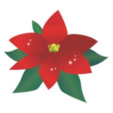 2025年のレッスン・講習・研修